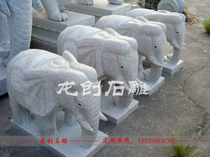 ç³éå¤§è±¡ä¸å¯¹å¤å°é±