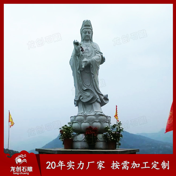 滴水观音A (3)
